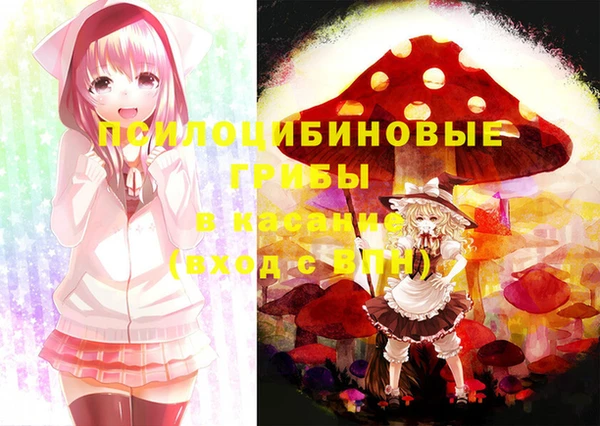 MDMA Верхний Тагил