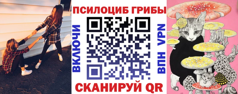 Галлюциногенные грибы прущие грибы  Славянск-на-Кубани 